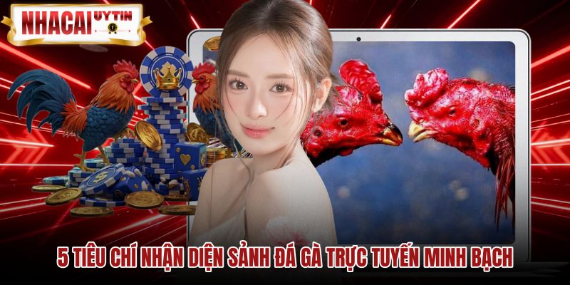 Dấu hiệu nhận biết sảnh đá gà trực tuyến minh bạch