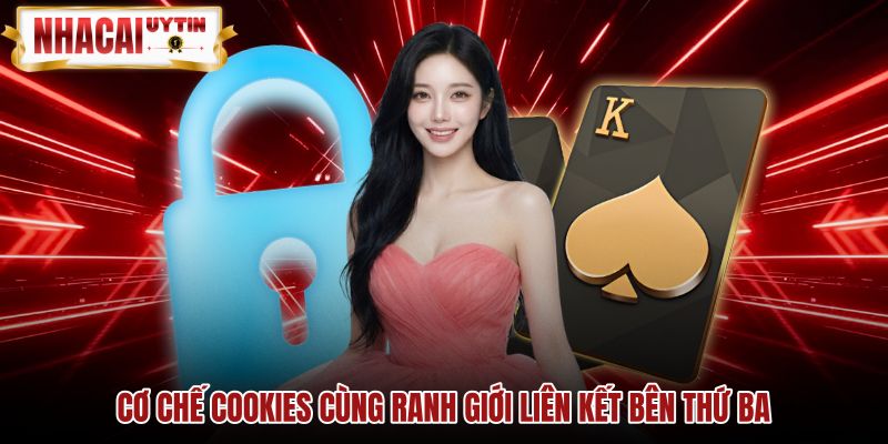 Chính sách bảo mật kiểm soát cookies và liên kết ngoài