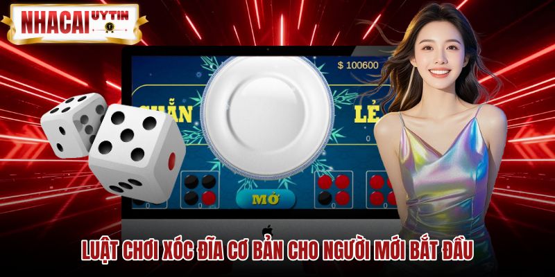 Quy chuẩn bàn chơi xóc đĩa và cách nhận diện quân vị