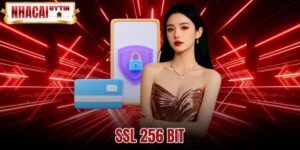 SSL 256 Bit Là Gì - Cơ Chế Mã Hóa Và Ranh Giới Bảo Vệ