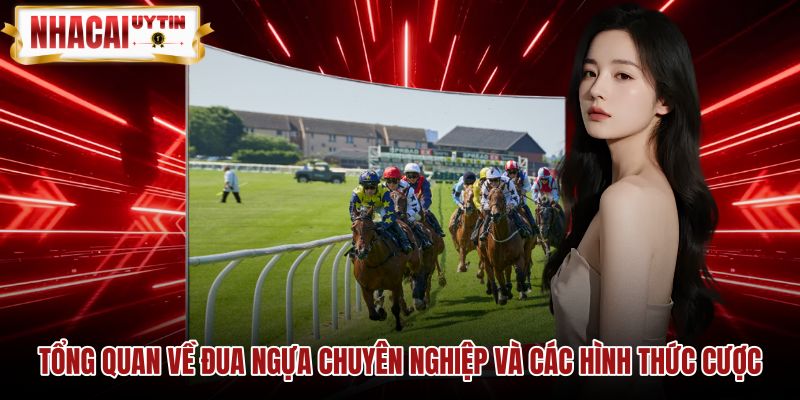 Hình thức cược đua ngựa cùng cơ chế vận hành tỷ lệ